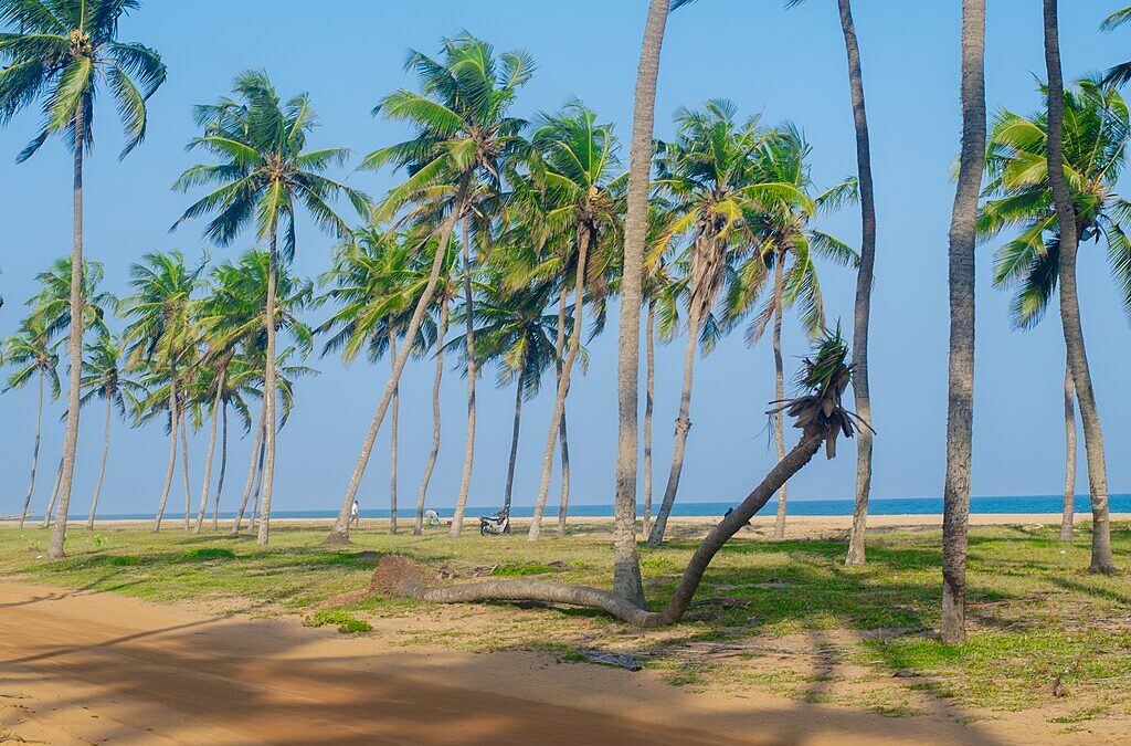 Lieux à visiter à Cotonou