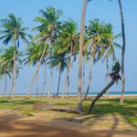 plage de togbin benin