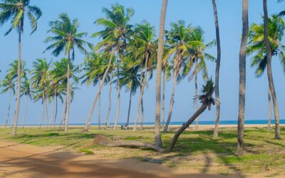 Blog 2 Lieux à visiter à Cotonou