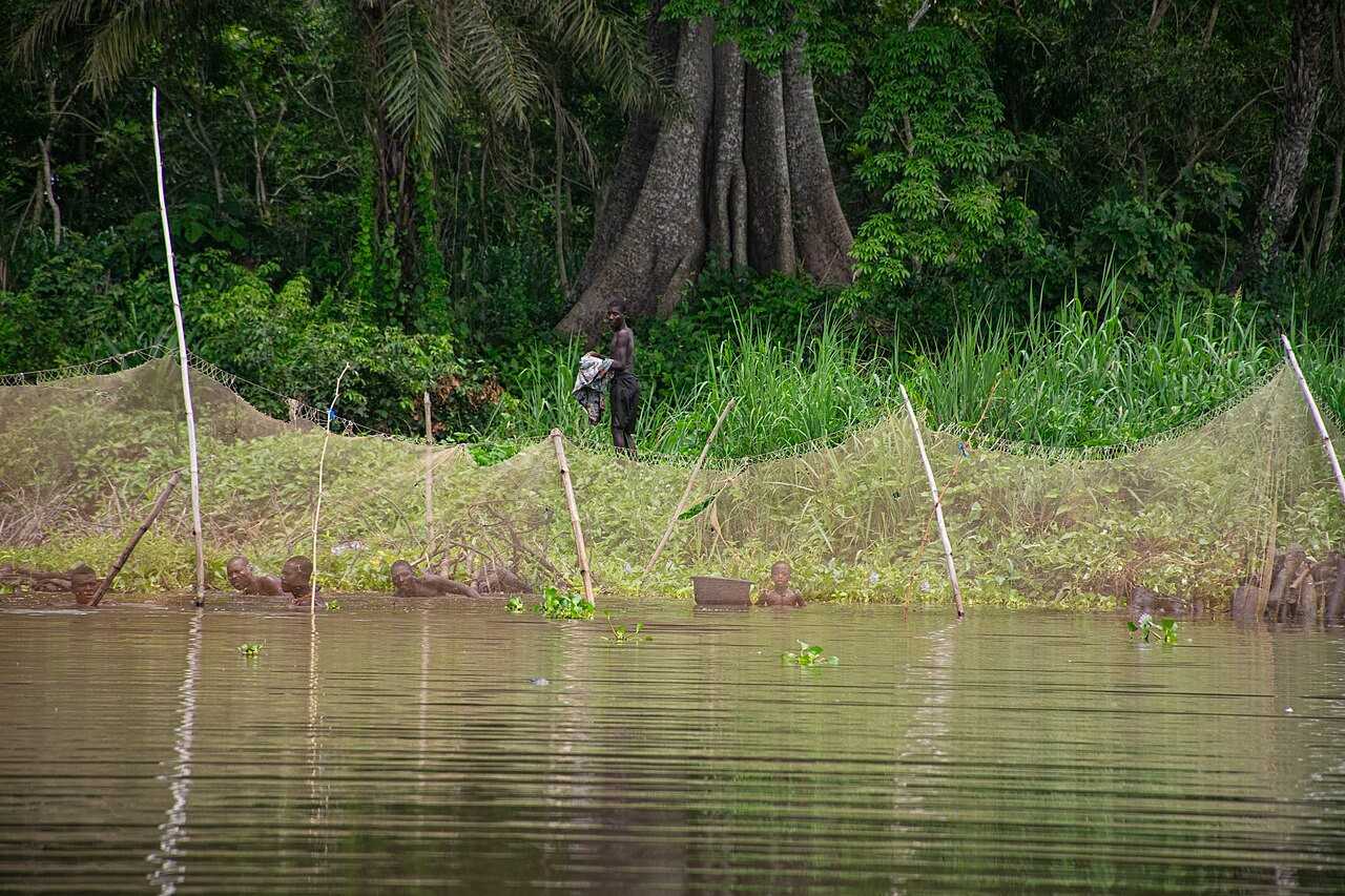 Vaste étendue du Lac Nokoué avec filets de pêche traditionnels, écosystème lagunaire de Ganvié au sud du Bénin