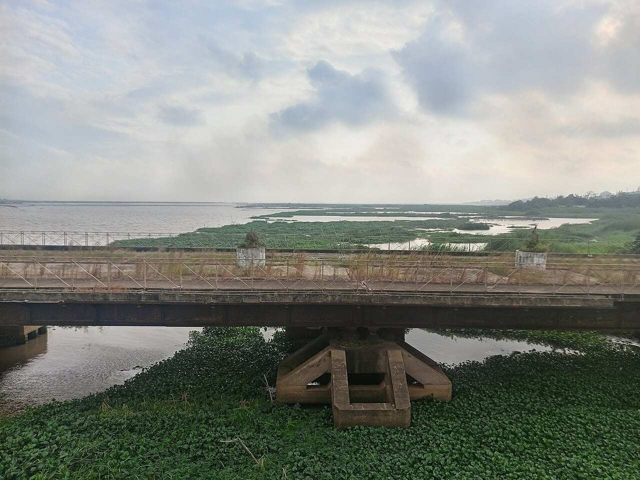 Vue apaisante sur la lagune de Porto-Novo, paysage naturel et calme