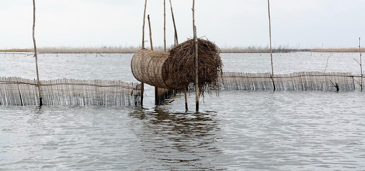 Système de pêche traditionnel Acadja sur le lac Nokoué, enclos de branches pour l'aquaculture au Bénin