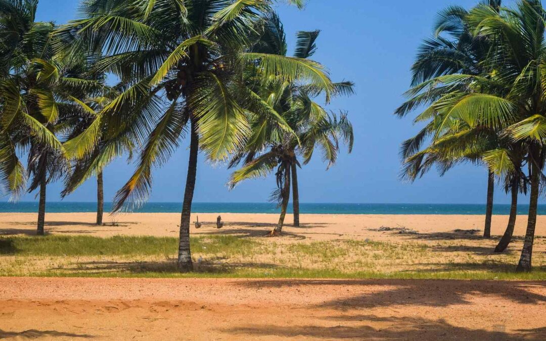 Vue panoramique de la plage de Grand-Popo au Bénin avec cocotiers, sable doré et ambiance paisible sur le littoral atlantique