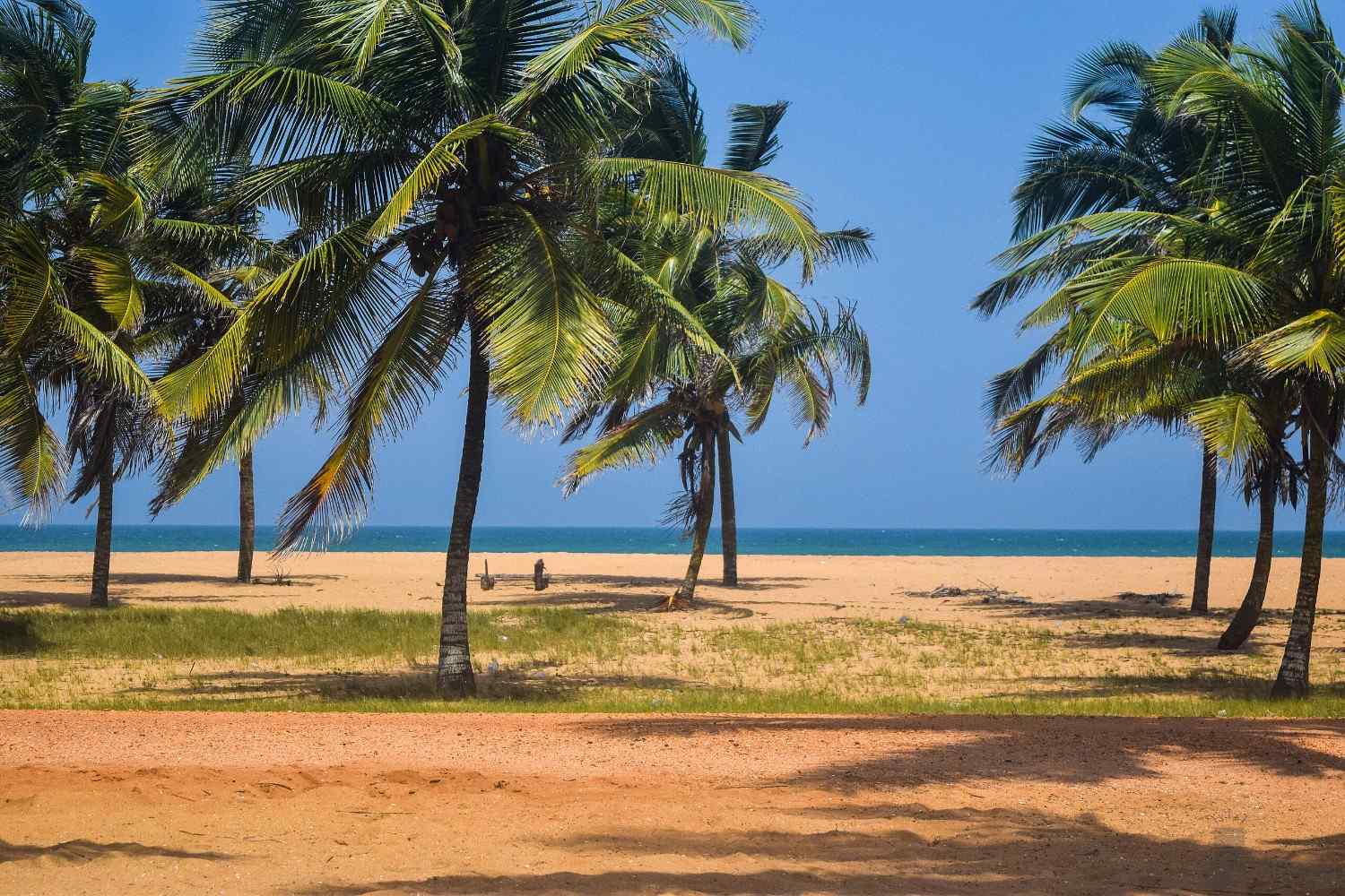Vue panoramique de la plage de Grand-Popo au Bénin, étendue de sable fin bordée de cocotiers pour un tourisme calme et authentique