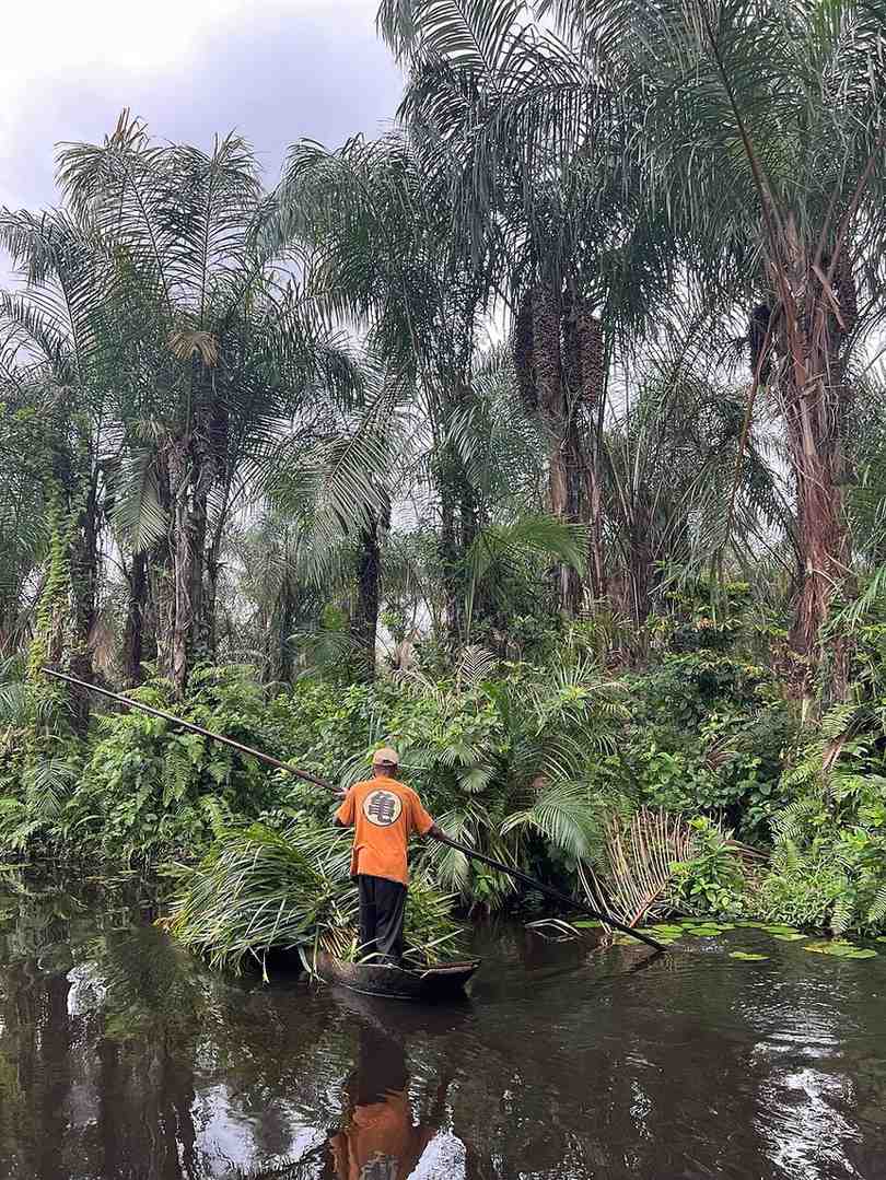 Promenade paisible en pirogue sur la Rivière Noire d'Adjarra - Reflets et végétation luxuriante