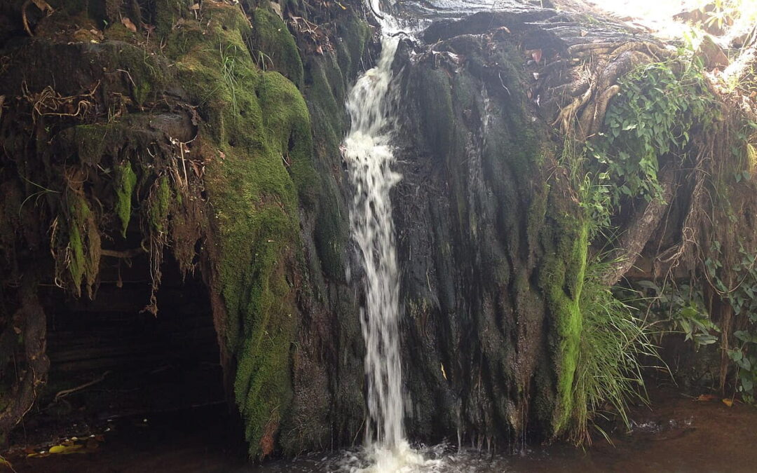 Les chutes de Kota, la cascade discrète de l’Atacora