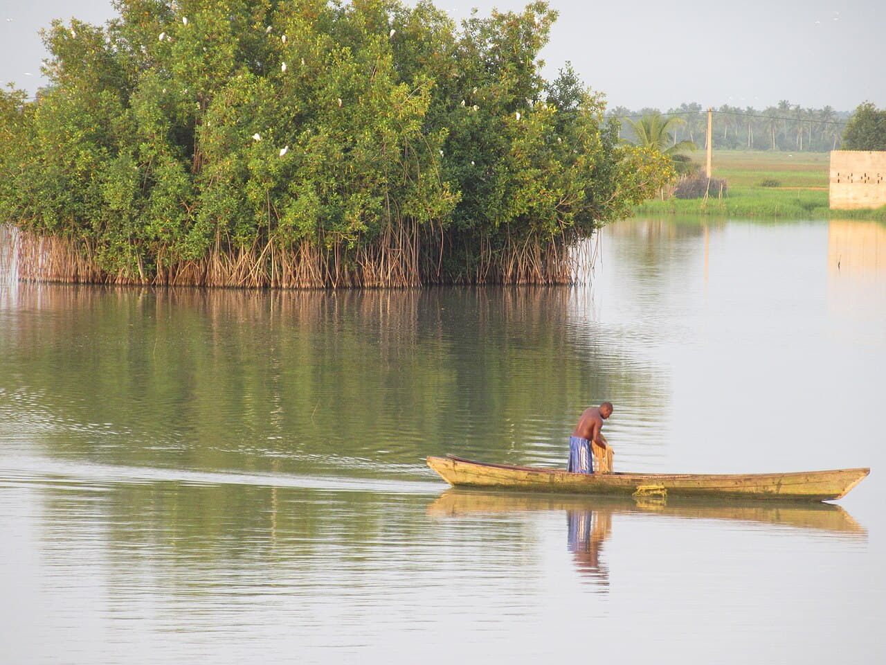 Pirogue traditionnelle sur le lac Ahémé, destination clé pour tout voyageur souhaitant visiter le lac Ahémé 