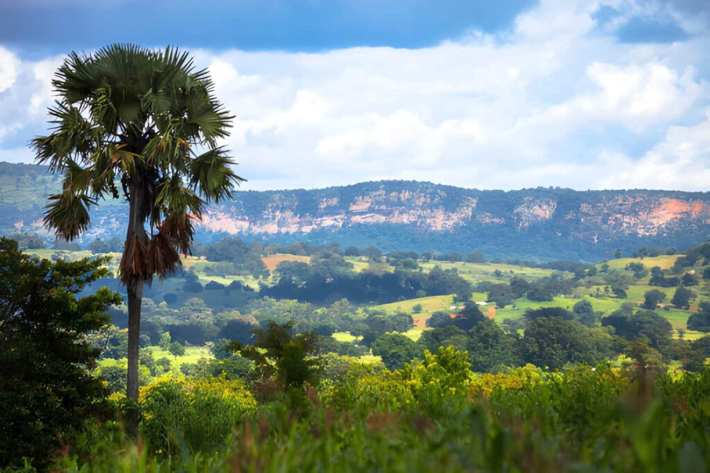 Où faire de la randonnée au Bénin ? 3 Sentier de randonnée au Bénin traversant les collines verdoyantes de la chaîne de l'Atacora