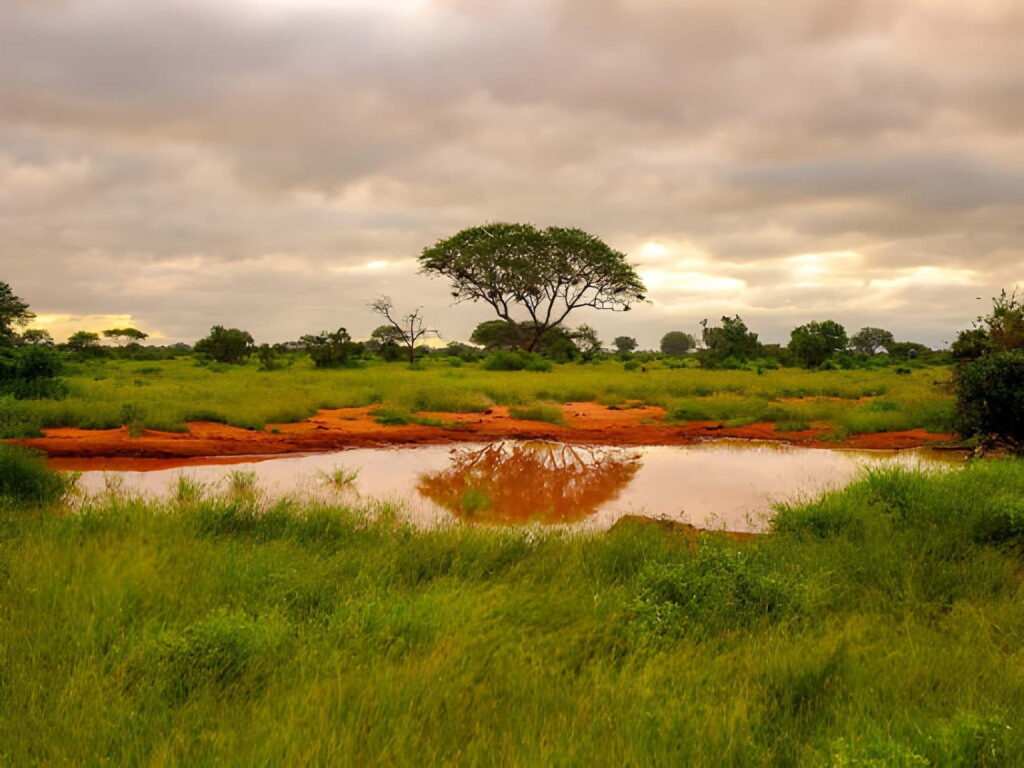Quelle carte SIM choisir pour voyager au Bénin ? 4 Paysage de savane au parc Pendjari, une zone où la couverture réseau mobile reste limitée