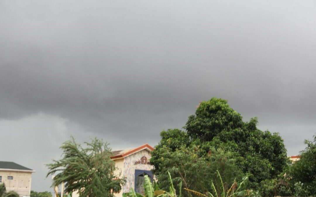 Quelle météo à Cotonou, et quand partir ?