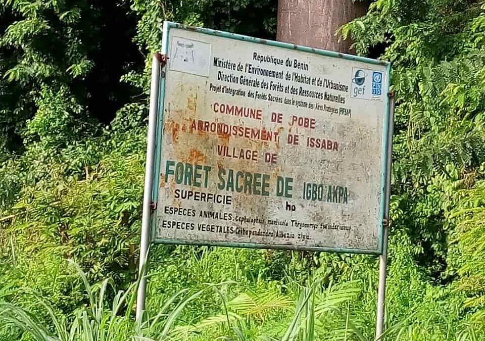 Pobè Bénin : forêts sacrées et palais royal yoruba