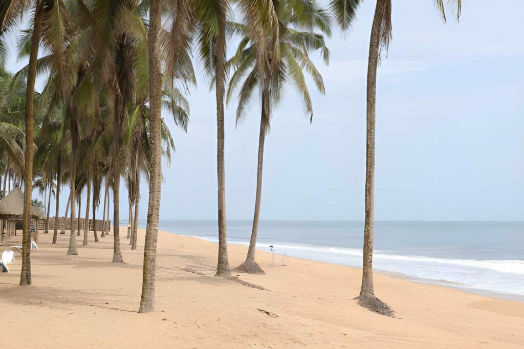 Tourisme au Bénin : le guide complet pour préparer son voyage 2 Paysage côtier du Bénin illustrant la richesse du tourisme au Bénin pour les voyageurs internationaux