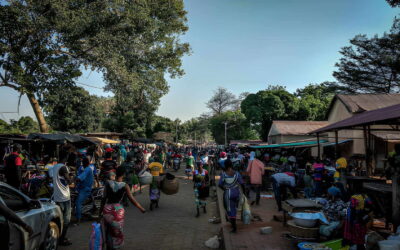 Vie quotidienne au Bénin : conseils pratiques et astuces