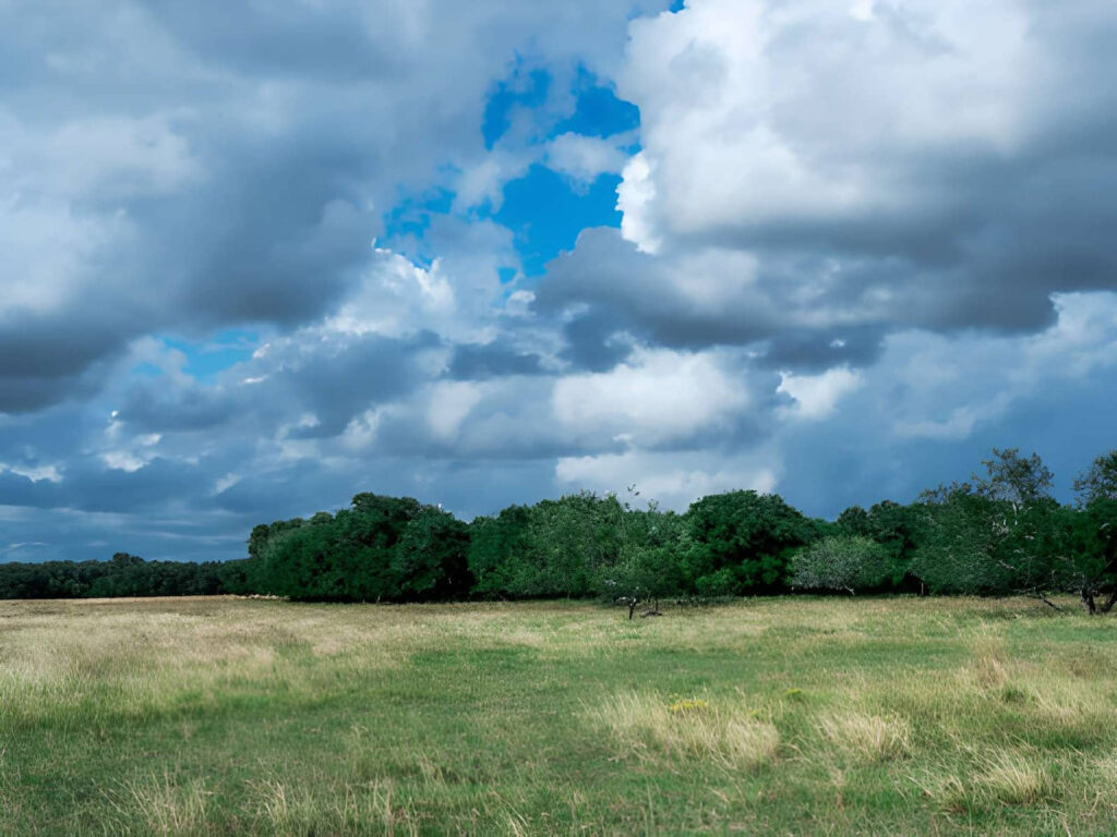 Météo Bénin : climat, températures et prévisions mois par mois 2 Ciel nuageux au dessus d'une savane béninoise illustrant la météo Bénin en saison des pluies